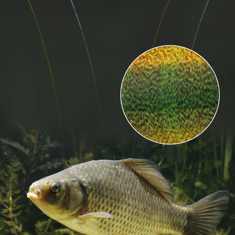 FTK 300M Invisible Fishing Lin - Fluorocarbon Line ulasan dan harga